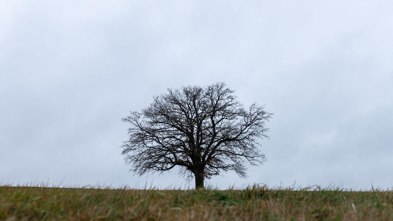 Wettervorhersage: Trübes Wetter Und Regen In Rheinland-Pfalz Und Im ...