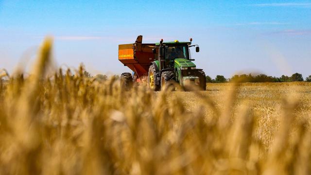 Agrarwirtschaft: Östliche EU-Staaten beklagen günstiges Getreide aus Ukraine