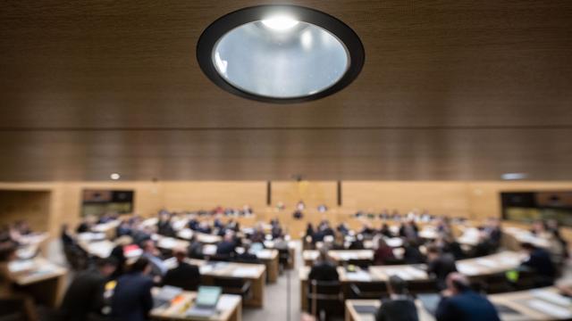 Debatte: FDP-Fraktion stößt bei Genderfrage auf Ablehnung im Landtag 