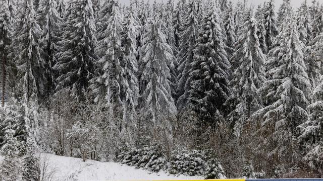 Wintersport: Strecken in Oberhof für Biathlon-WM bereit