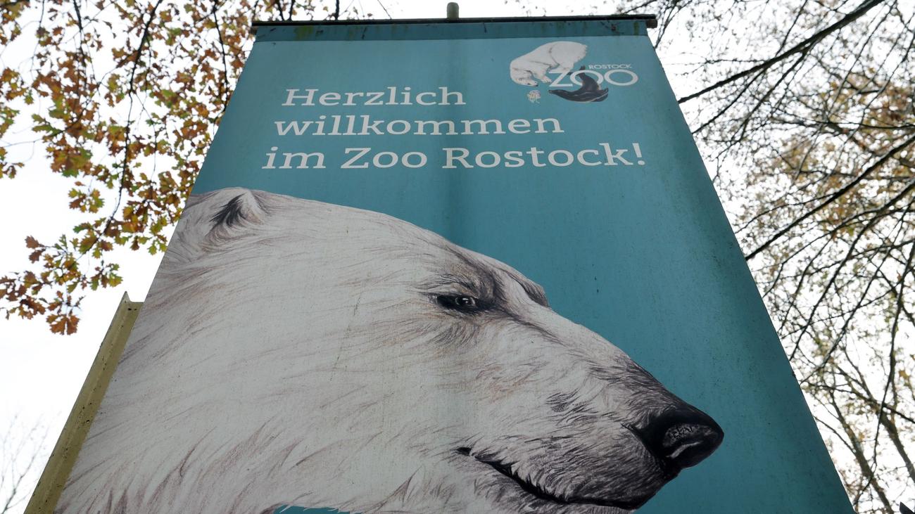 Zoologischer Garten Zoo Rostock bei Besucherzahlen wieder auf Vor