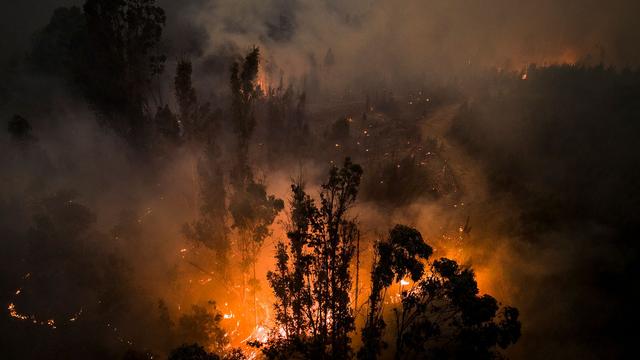 Naturkatastrophen: Mindestens 22 Tote bei Waldbränden in Chile 