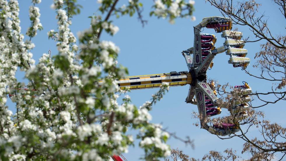 Fest: Nach Pause: Baumblütenfest in Werder mit neuem Konzept | ZEIT ONLINE