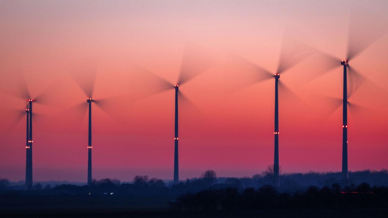 Naturschutz: Nabu Kritisiert Mangelnden Artenschutz Bei Windkraft ...