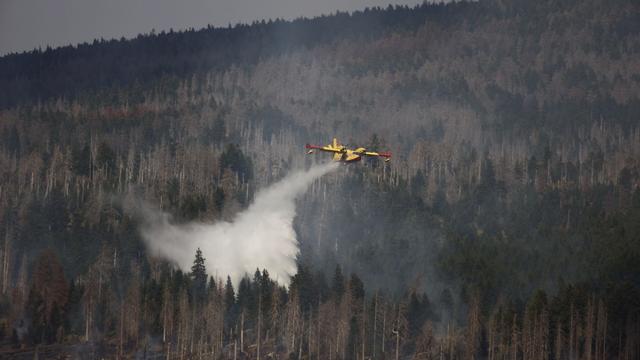Katastrophenschutz: Polnisches Löschflugzeug soll Brandbekämpfung unterstützen