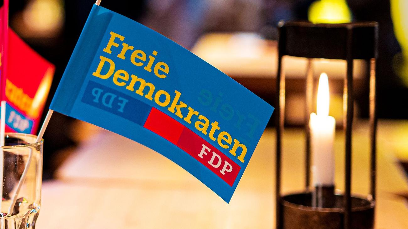 Energiepolitik: FDP-Fraktion lehnt Habecks Heizungspläne ab | DIE ZEIT