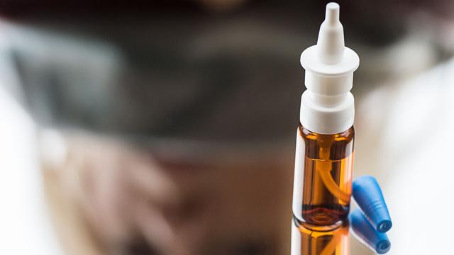 Forschung: Nasenspray-Impfung gegen Corona: Erfolg an Hamstern