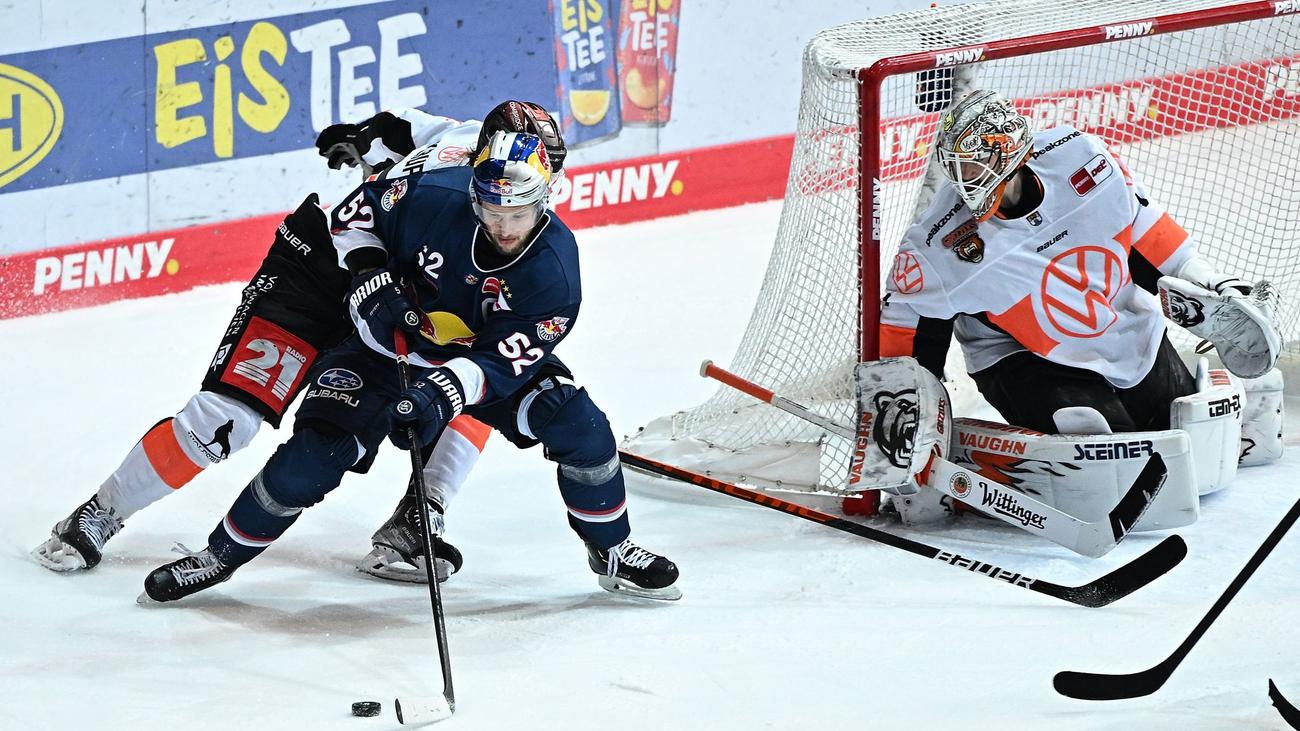 Playoffs Premiere im EishockeyFinale 