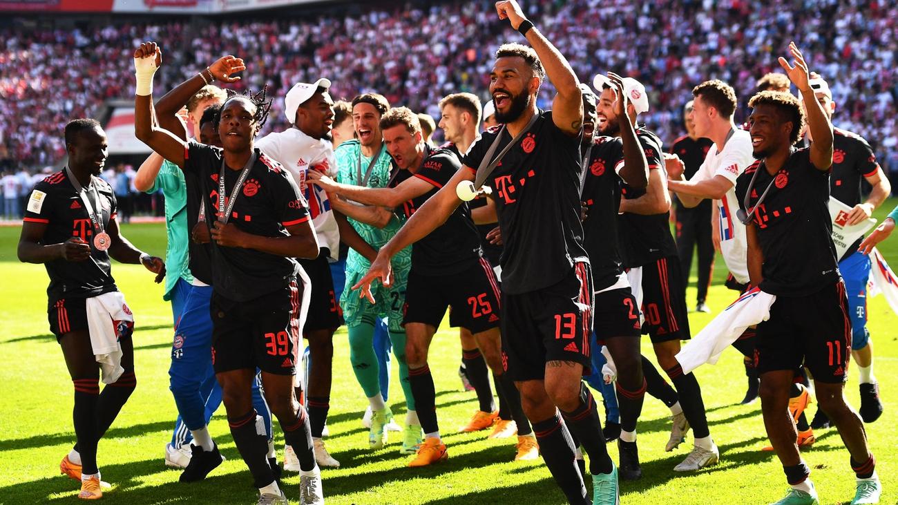 Meister, Europa, Abstieg Die Entscheidungen in der FußballBundesliga