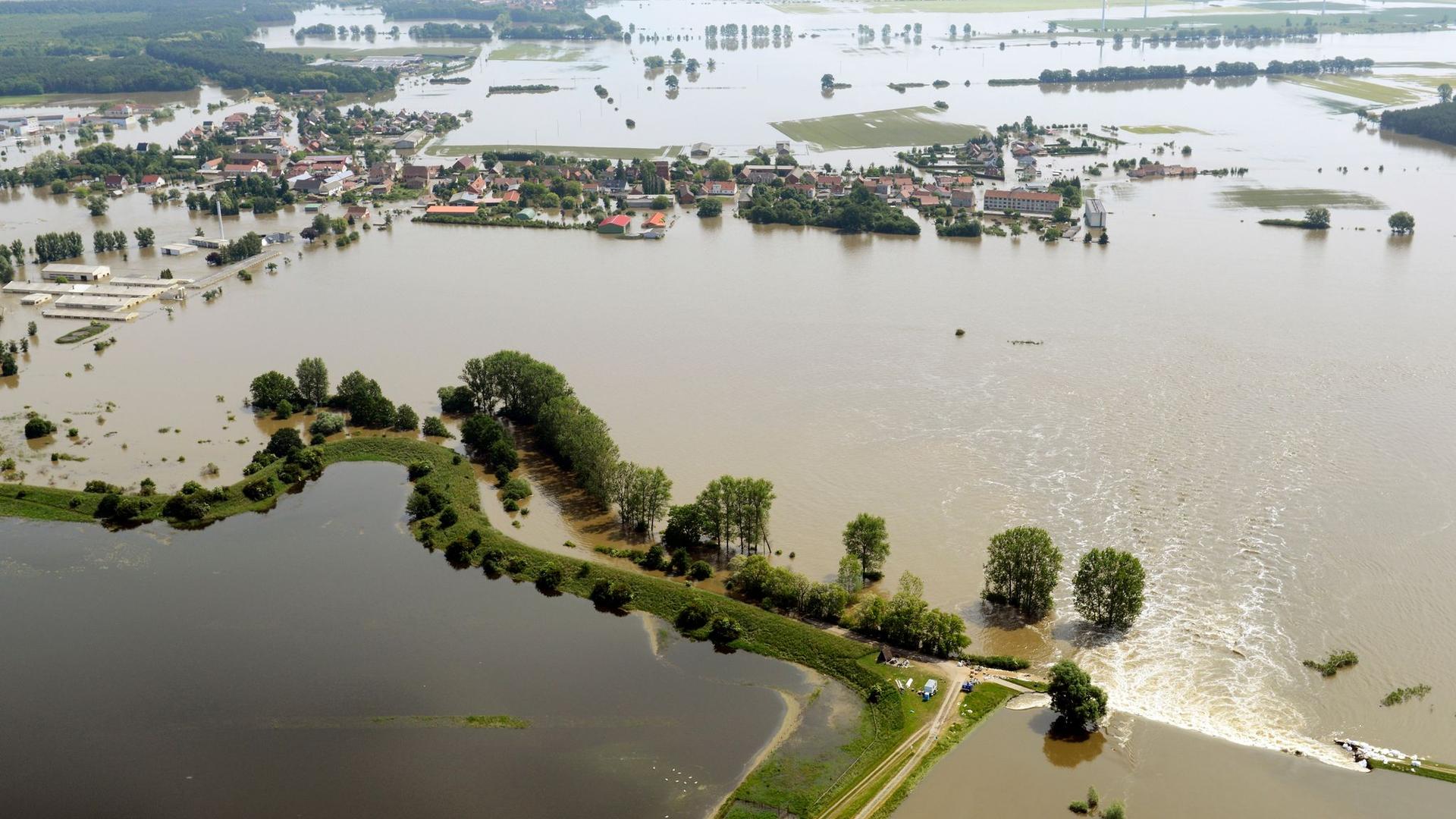 Hochwasser: Haseloff: Flut 2013 hat Deutschland zusammengeschweißt