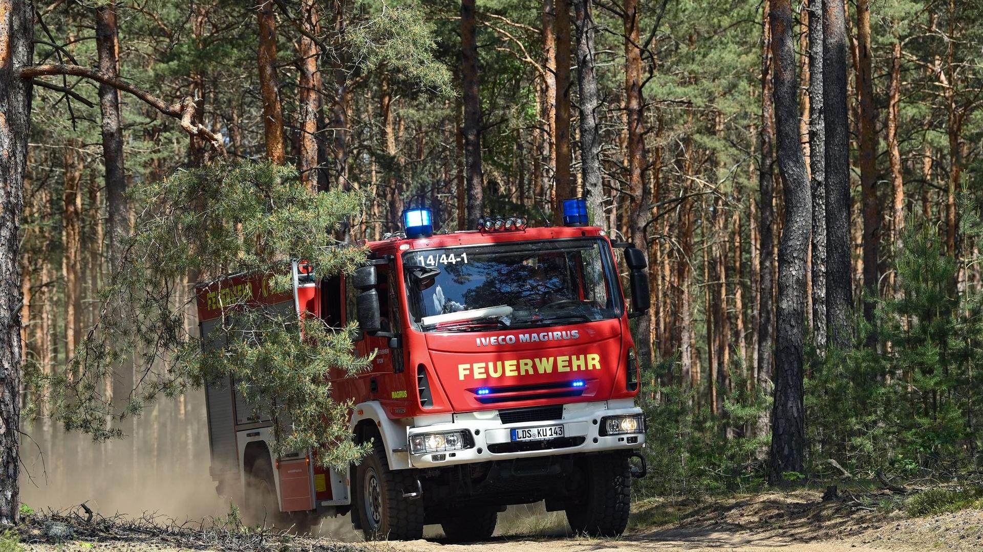 Feuerwehreinsatz: Löscharbeiten beim Brand im Göldenitzer Moor dauern an