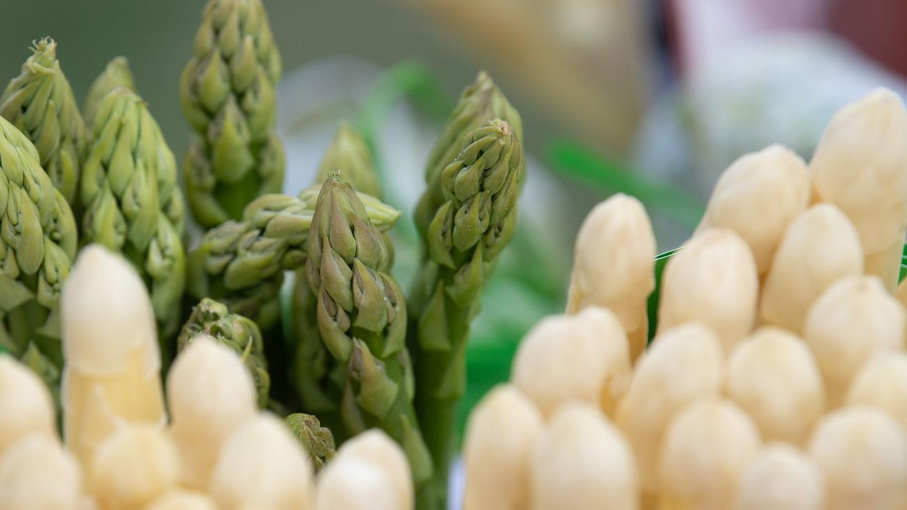 Landwirtschaft Spargelsaison nach schlechtem Start noch