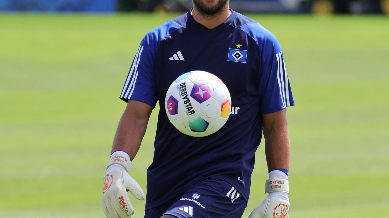 2. Bundesliga Heuer Fernandes bricht HSVTraining ab ZEIT ONLINE