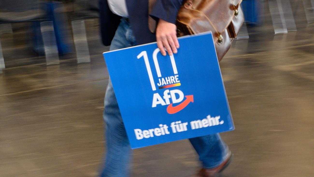 Wahlen: "Geordnete Auflösung der EU?": AfD will Wahlprogramm beraten
