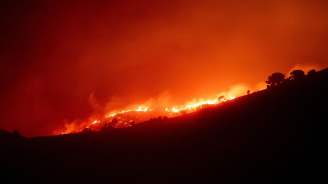 Brände: Waldbrände zerstören Tausende Hektar in Spanien und Portugal