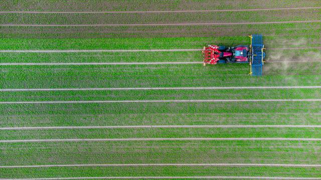 Landwirtschaft: Brandenburg fürchtet Kürzung bei Agrar-Förderung