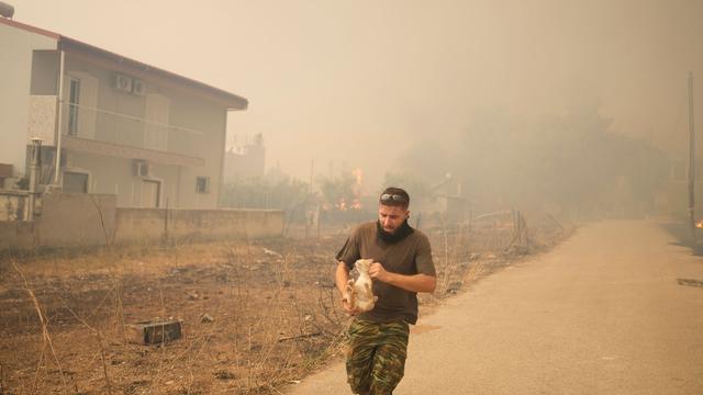 Klima: Waldbrände in Griechenland wüten weiter