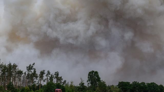 Umwelt: Waldbrände «noch keine Großgefahr» in Rheinland-Pfalz