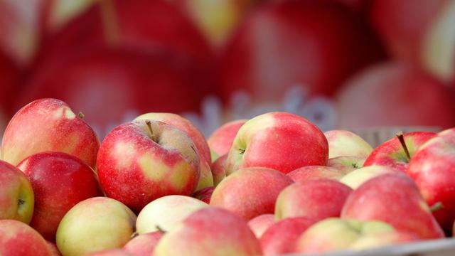 Landwirtschaft: Apfel-Erntesaison für Niedersachsen eröffnet