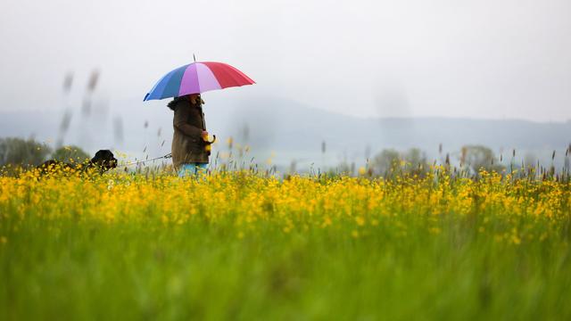 Wetter: Viel Regen und einzelne Gewitter in Nordrhein-Westfalen