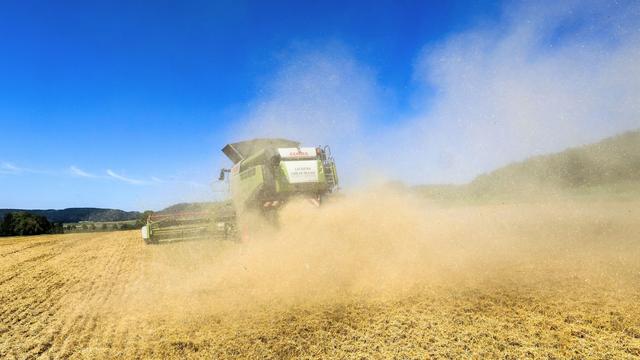 Landwirtschaft: Bauern holen mehr Getreide vom Feld: Sorge um Abverkauf