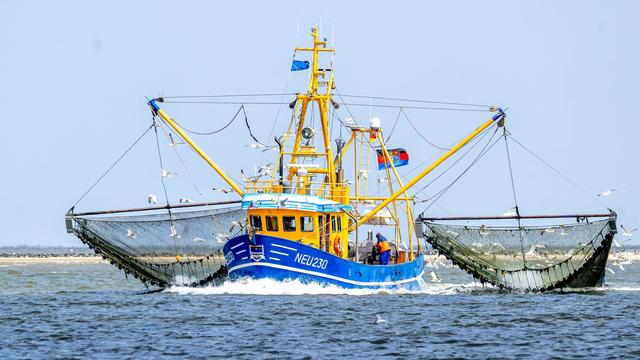 Kostenanstieg: Verband: Fischereibranche steckt weiter in der Krise 