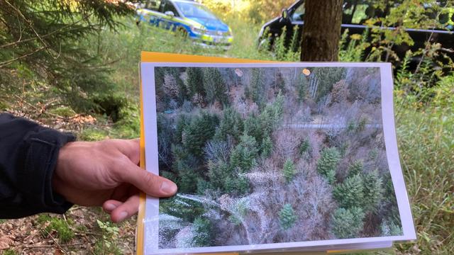 Kriminalität: Vermisste Frau: Polizei durchsucht Wald bei München