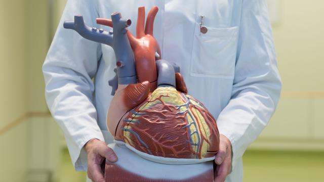Gesundheit: Herzbericht: Zahl tödlicher Infarkte weiter rückläufig