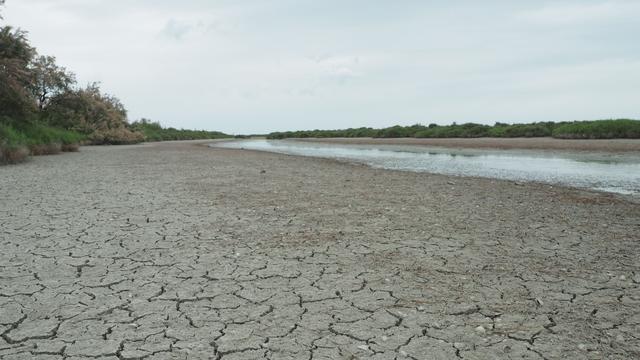 Klimakrise: Frankreich: Der Kampf um knappes Wasser beginnt