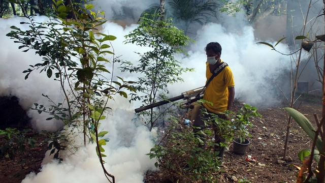 Krankheiten: Mehr als Tausend Tote wegen Dengue-Fieber in Bangladesch
