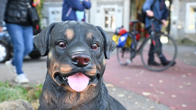 Verkehr: Plastikhund bellt für ein besseres Radwegenetz in Esslingen