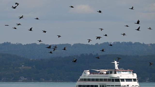 Schifffahrt: Bodensee-Schifffahrt endet: Betreiber zufrieden mit Saison 