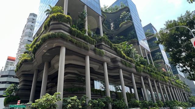 Nachhaltiger Städtebau: Wie Singapur dank Himmelsgärten zur grünen Stadt wurde