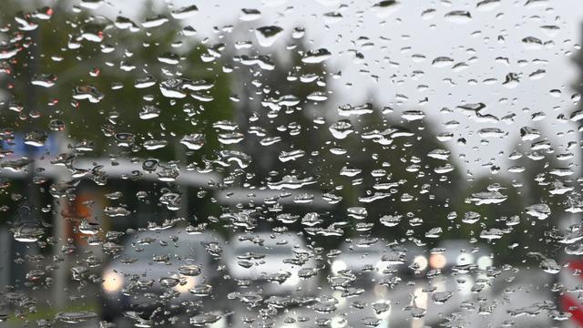 Vorhersage: Trübes Wetter am Wochenende in Sachsen