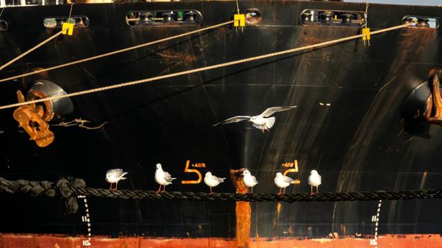 Schifffahrt: Am tödlichen Unglück beteiligter Frachter wieder auf See
