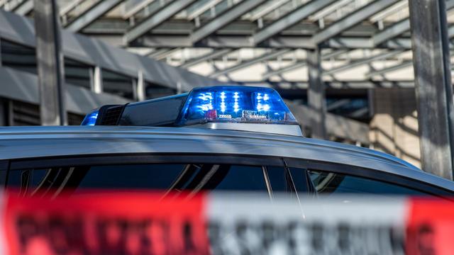 Landkreis Meißen: Polizei: Auto stößt vermutlich mit Elch zusammen 