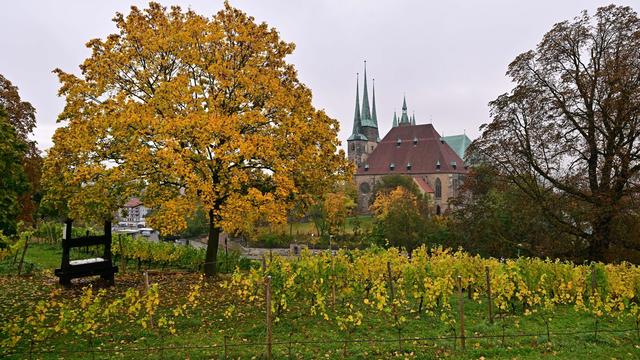 Wetter: Bis zu 15 Grad am Mittwoch in Thüringen erwartet
