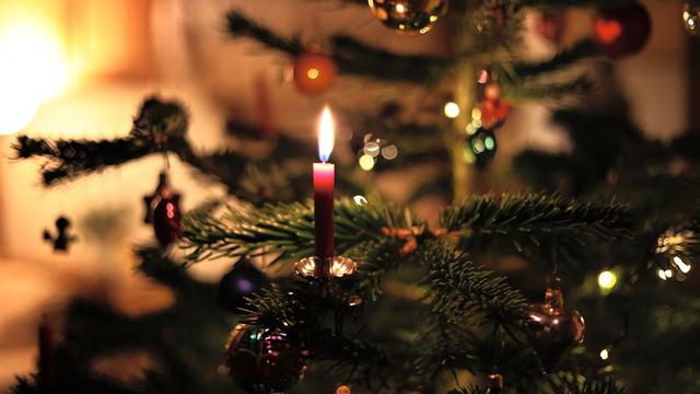 Brauchtum: Trotz Inflation: Preise für Weihnachtsbäume in Hessen stabil