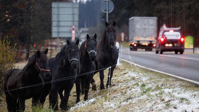 Verkehr: Schnee und Kälte - Winter empfiehlt sich in Thüringen 
