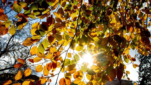 Deutscher Wetterdienst: Herbst auch in Niedersachsen und Bremen zu warm