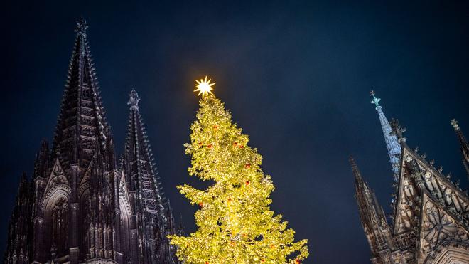Brauchtum: Jeder dritte Weihnachtsbaum kommt aus NRW | DIE ZEIT
