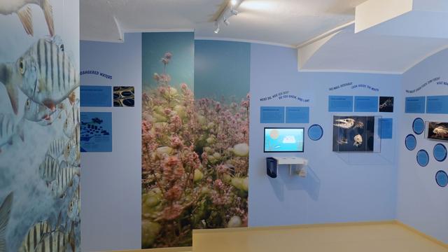 Potsdam: Aquariumseröffnung: Naturkundemuseum freut sich über Andrang