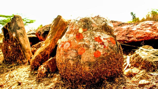Paläontologie: Indien: Göttlich verehrter Stein entpuppt sich als Dino-Ei 