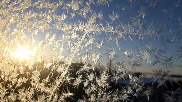 Winter: Kälteste Januarnacht in Schweden seit 25 Jahren 