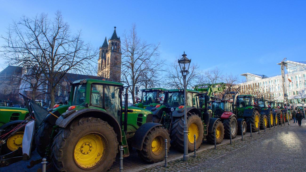 Protest Der Landwirte: Tausende Bauern Demonstrieren Gegen ...