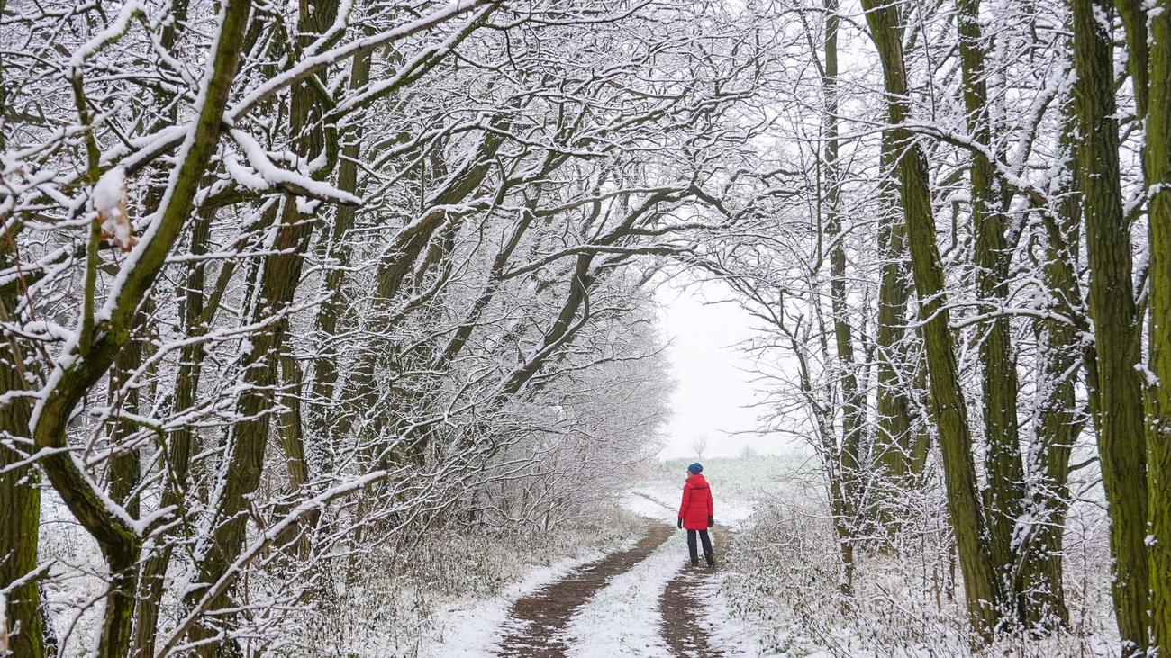 Wetter: Am Mittwoch Viel Schnee Im Süden Von NRW | ZEIT ONLINE