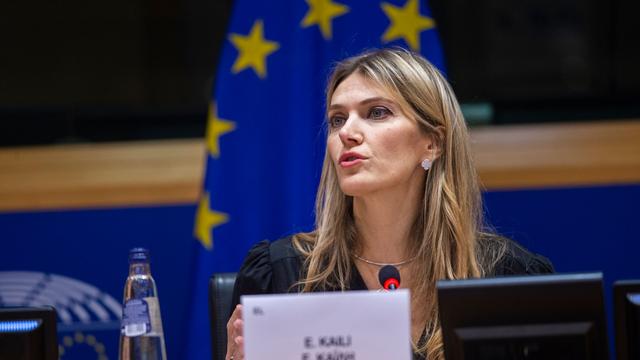 EU-Gericht: Klage abgewiesen: EU-Politikerin droht Verlust der Immunität