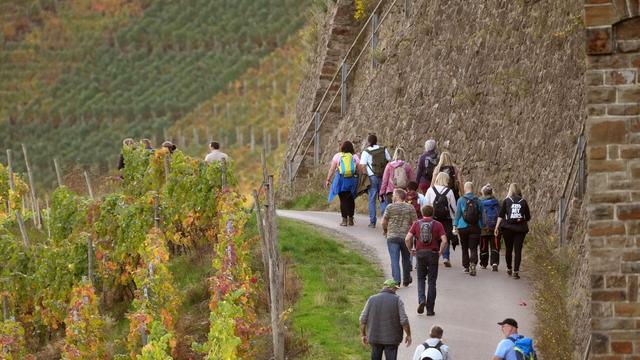 Urlaub: Mehr Touristen in Rheinland-Pfalz 