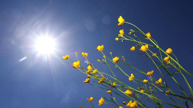 Wetter: Viel Sonnenschein in NRW: Bis zu zwölf Grad am Sonntag
