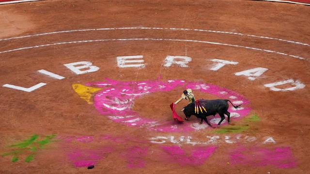 Mexiko: Stierkampf nach Verbot zurück in größter Arena der Welt